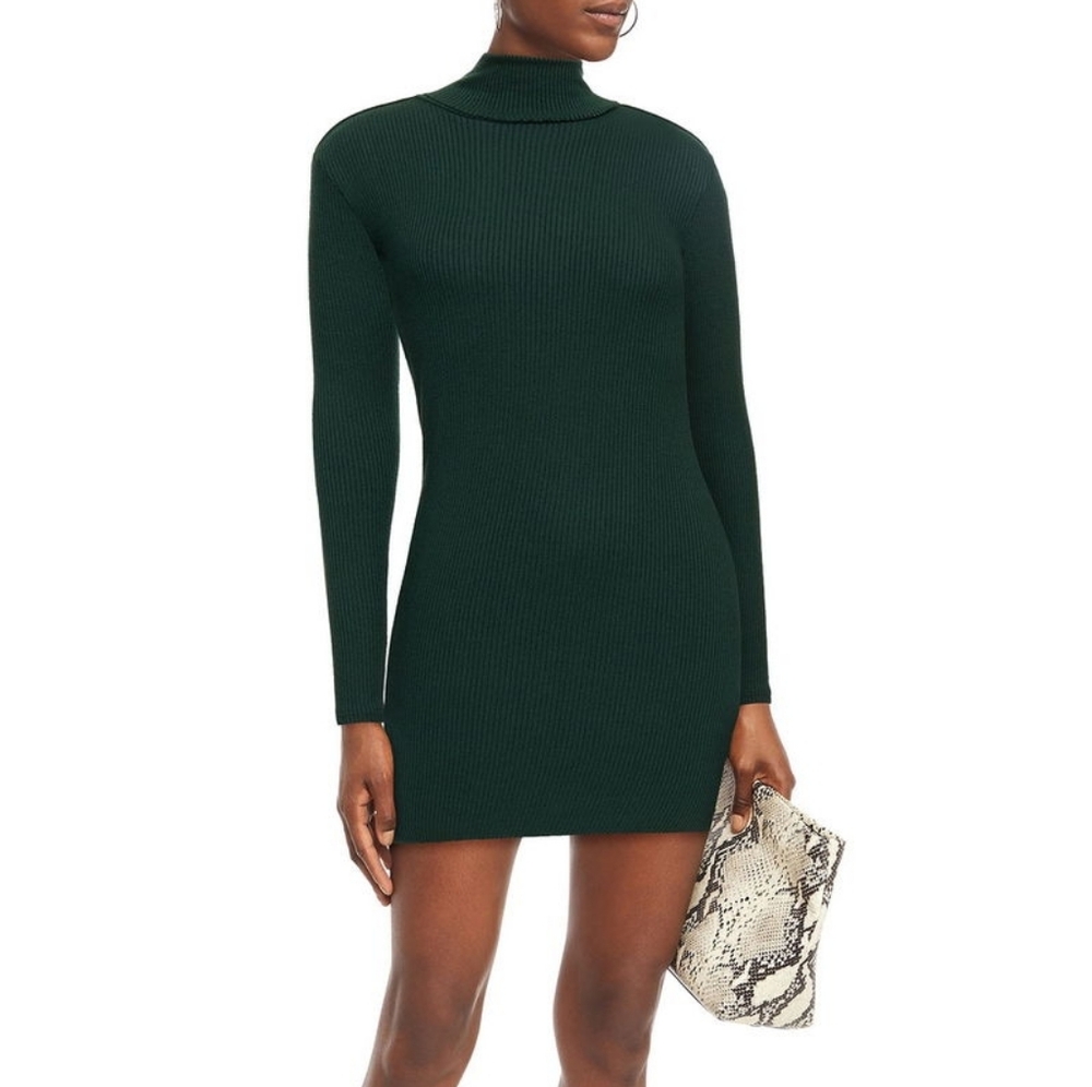 Enza Costa Modal Blend Ribbed Turtleneck Mini Dress XS Green Lightweight